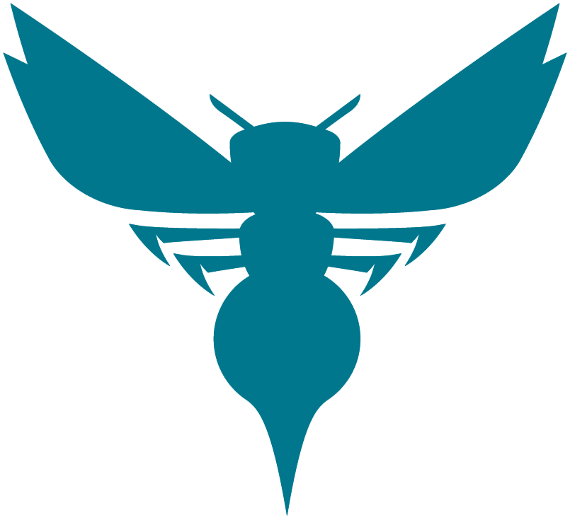 Charlotte Hornets 2014-Pres Alternate Logo iron on transfers for clothing version 3